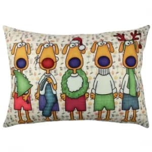 A50936 Multicolor Cushion