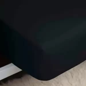 Belledorm 200 Thread Count 100% Egyptian Cotton 12" Deep Fitted Sheet, Black, Double