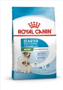 Royal Canin Mini Starter Mother and Babydog Adult and Puppy Dog Food Dry 4kg
