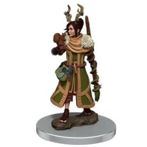 D&D Icons of the Realms Premium Figures (W7) Female Human Druid