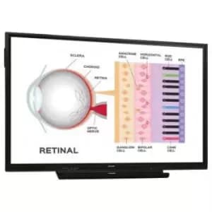 65" Black Interactive Display 4K Ultra HD 350 cd/m2