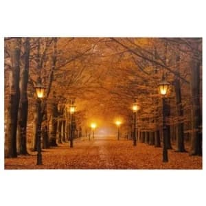 Autumn LED Avenue Canvas