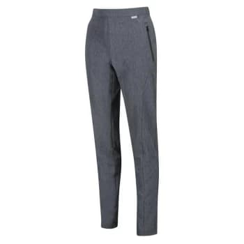 Regatta Pentre Walking Trouser (Long) - SealGrey Mar