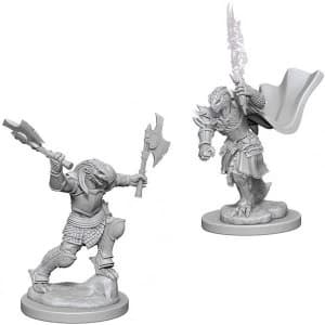 D&D Nolzur's Marvelous Unpainted Miniatures (W4) Dragonborn Female Fighter