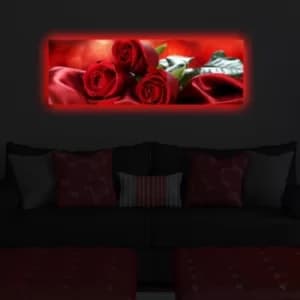 3090DACT-31 Multicolor Decorative LED Lighted Canvas Painting