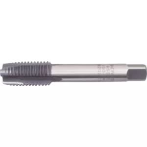 M12 X 1.75 HSS-EV Sp/Pt Tap-oxidised