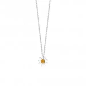 Marguerite Daisy Silver Necklace N4002