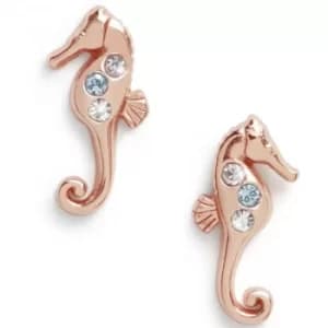 Olivia Burton Under The Sea Seahorse Sparkle Rose Gold Stud