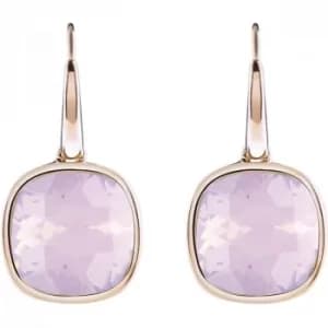Ladies Guess Rose Gold Plated Crystal Shades Earrings