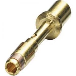 Coninvers 1605636 SF 7PS2000 Gold