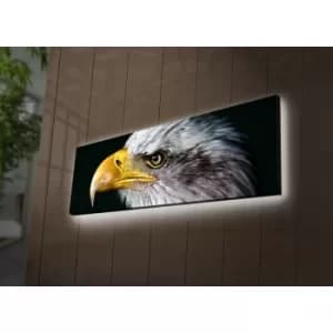 3090DACT-62 Multicolor Decorative LED Lighted Canvas Painting