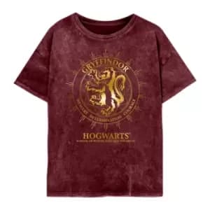 Harry Potter - Gryffindor Constellations (SuperHeroes Inc. Womens Acid Wash T-Shirt) Ex Ex Large