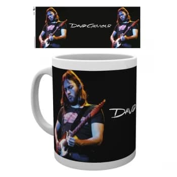 David Gilmour - Live Photo Mug