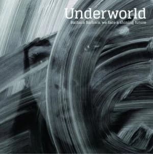 Barbara Barbara We Face a Shining Future by Underworld CD Album