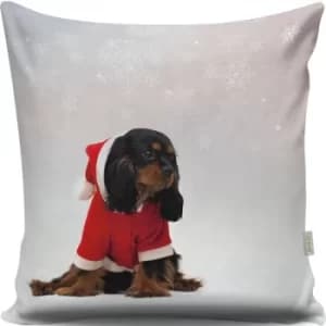 A13055 Multicolor Cushion