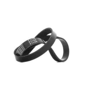 MEYLE V-ribbed belt VW,AUDI,FIAT 050 006 0950 03G903137A,128051,1633568980 500346828,504019978,504171190,31110P5K003,504019978,119204F105,128050