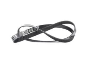 DAYCO V-ribbed belt FIAT,HONDA,CHRYSLER 5PK1155 46818260,55218530,55225534 55230399,71753672,38920PWA506,38920PWAJ01,55230399,38920PWAJ01