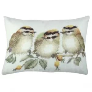 A50831 Multicolor Cushion