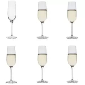 Dartington Champagne Flute Set Of 6, Multipack
