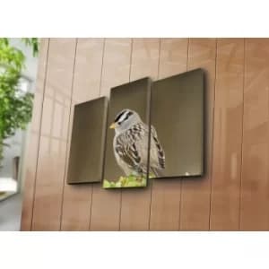 3NATPAT-44 Multicolor Decorative Canvas Painting (3 Pieces)