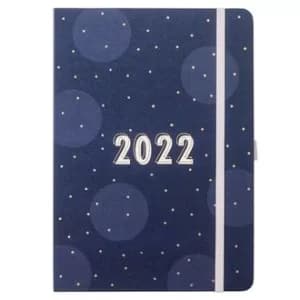 Busy B Day A Page Diary 2022