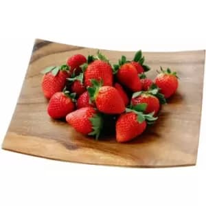 Kora Serving Plate - Premier Housewares