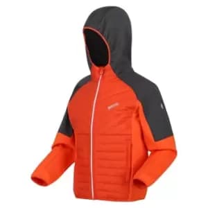 Regatta Kielder Hybrid VI Insulated Jacket - RustyOr/SlGy