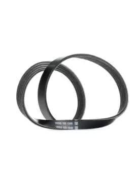 DAYCO V-ribbed belt 4PK830EE Serpentine belt,Auxiliary belt BMW,3 Touring (E91),3 Limousine (E90),5 Limousine (E60),5 Touring (E61),1 Schragheck (E87)