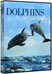 Dolphins: Spy in the Pod