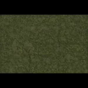 Grasslands Battle Mat: D&D Icons of the Realms