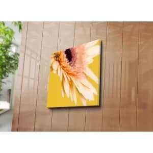 4545C-86 Multicolor Decorative Canvas Painting