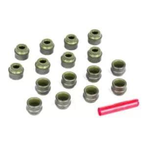 CORTECO Seal Set, valve stem 19026849 VW,AUDI,MERCEDES-BENZ,Golf IV Schragheck (1J1),Golf V Schragheck (1K1),POLO (9N_),TOURAN (1T1, 1T2)