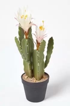 Artificial Cactus Queen Of The Night Flower In Black Pot, 41cm Tall