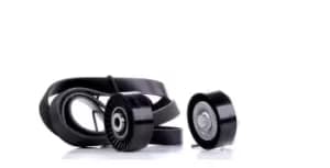 INA V-ribbed belt set PEUGEOT,CITROEN 529 0018 10 1613839980,1613840680,1613840880 5750GK,5750GL,5750L1,5750L2,5750R9,5750S0,5750T7,5750T8,5750VS