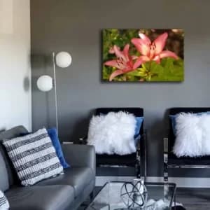 45702021C-024 Multicolor Decorative Canvas Painting