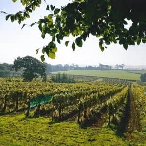 Buyagift Wine Or Beer Tasting For Two Gift Experience