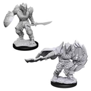 D&D Nolzur's Marvelous Unpainted Miniatures (W15) Dragonborn Fighter Male
