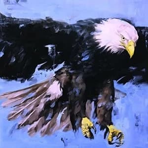 Aquarius - Soulquencies Vinyl