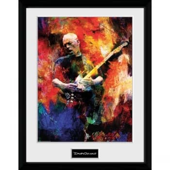 David Gilmour - Painting Collector Print