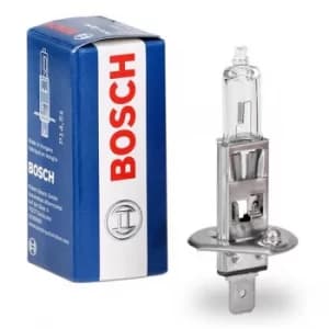 Bosch Light Bulbs DACIA,HONDA,AUDI 1 987 302 011 Bulb, spotlight