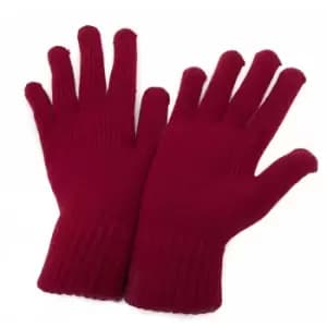 CLEARANCE - Womens/Ladies Winter Gloves (One Size) (Red)