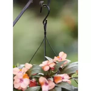 Clever Pots Pot Wall Bracket 20cm Garden & Outdoor