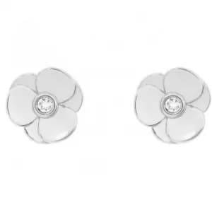 Ted Baker Ladies Silver Plated Preaa Pressed Flower Stud Earring