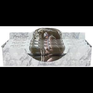 Pack of 6 Protector Incense Sticks by Anne Stokes