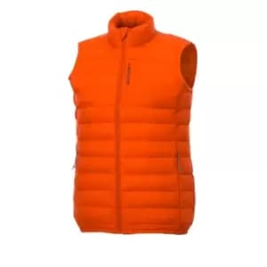 Elevate Womens/Ladies Pallas Insulated Bodywarmer (M) (Orange)