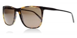 Polo Ralph Lauren PH4102 Sunglasses Tortoise 500373 55mm