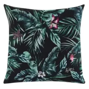 Biba Moody Plm Cush 24 - Multi