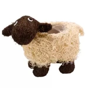 Smart Garden Shelley Sheep