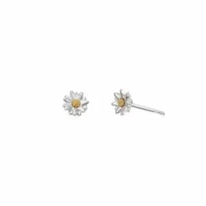 Daisy London 925 Sterling Silver and 18ct Gold Plate Bellis Daisy Stud Earrings