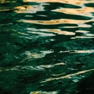 The Wave Ahead by Jo Johnson Vinyl Album